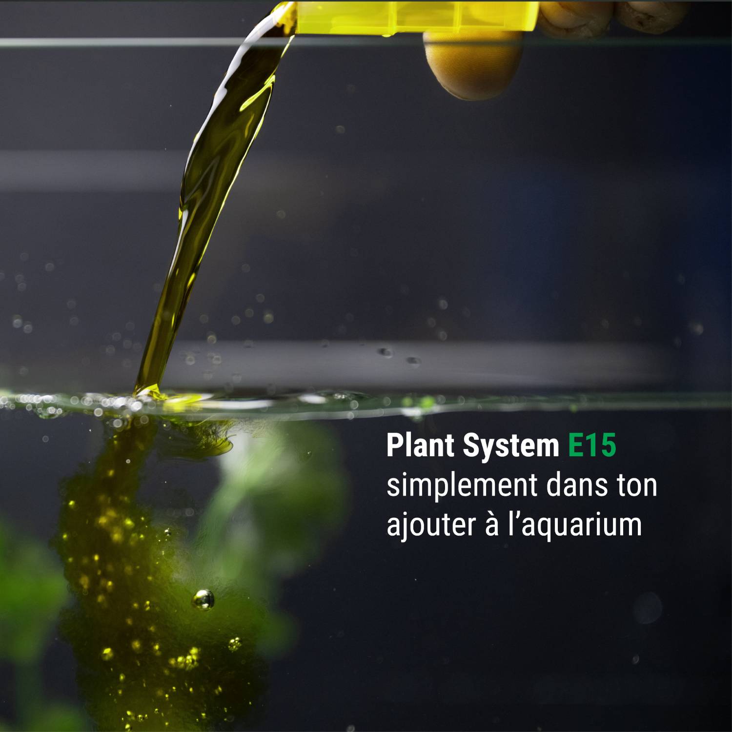 Dennerle Plant System E15, 250 ml#fr:taille_250-ml