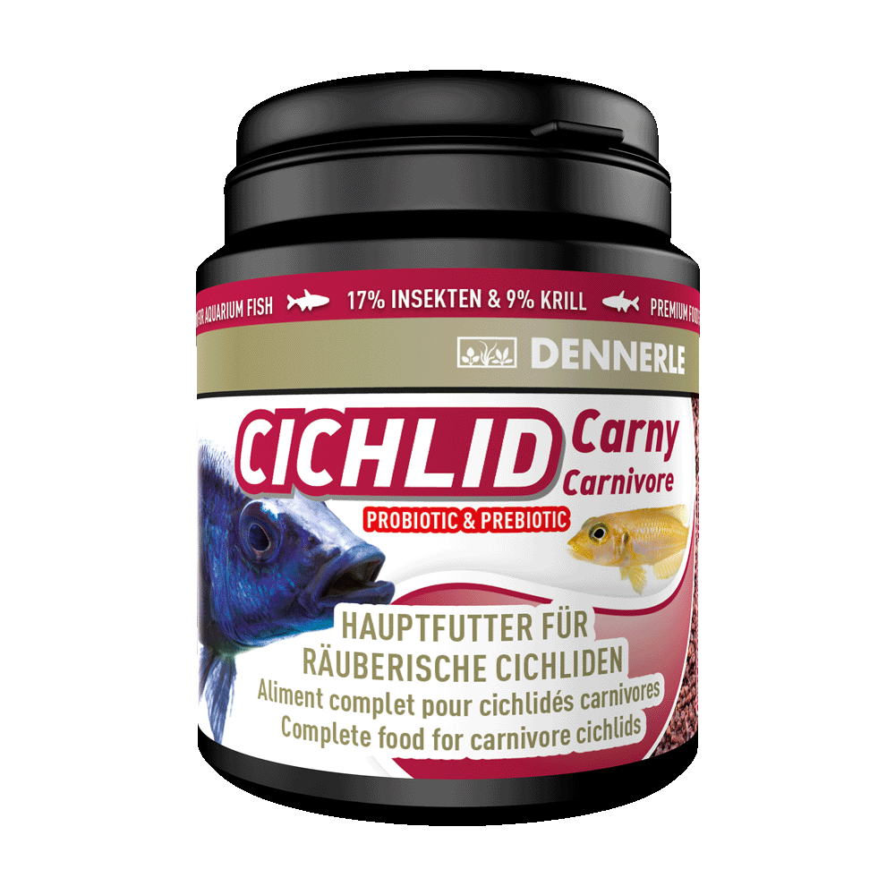 Dennerle Cichlid Carny