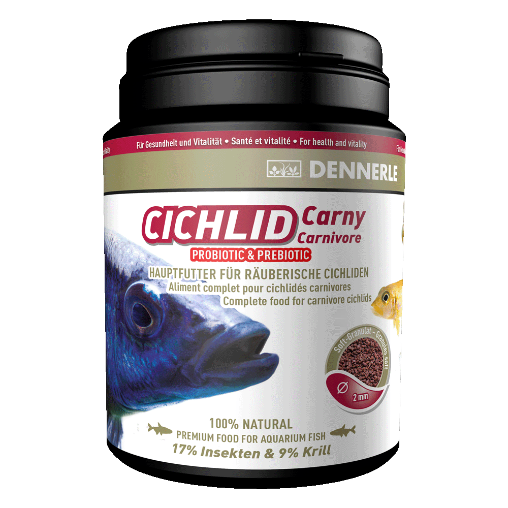 Dennerle Cichlid Carny