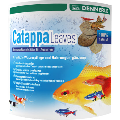 Dennerle Catappa Leaves