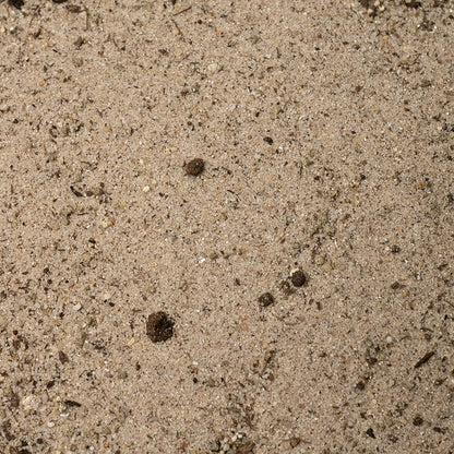 Dennerle Nutri Basis