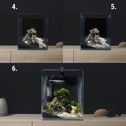 bonsai tree fish tank ornament Dennerle Decor Box Bonsai