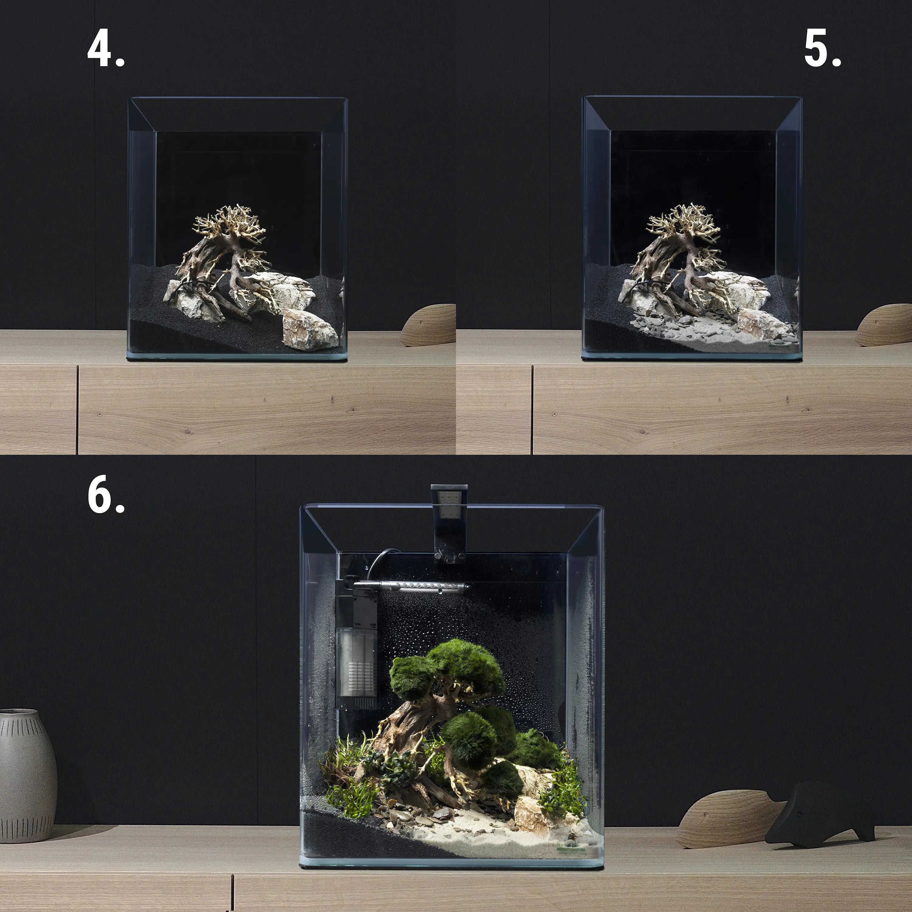 Decor Box Bonsai