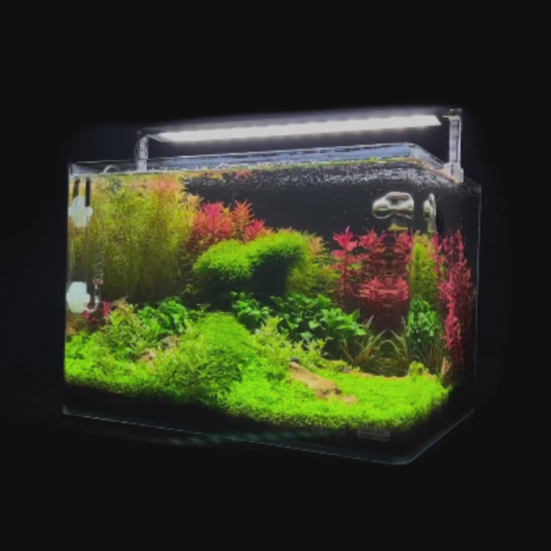 Dennerle Nano Tank Plant Pro